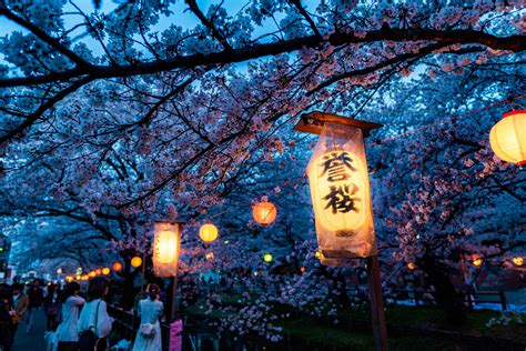 東京イベント3月: 桜の季節に響く都市の鼓動